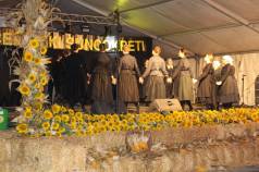 Mini IMG 0219